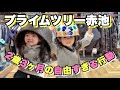 自転車乗れないのにヘルメットを欲しがる2歳3ヶ月の愛ちゃん