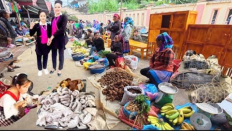 Lạc Giữa Chợ Phiên Tây Bắc – Nơi Ẩm Thực Khiến Ai Cũng Mê & và Đồ Rừng Quý,