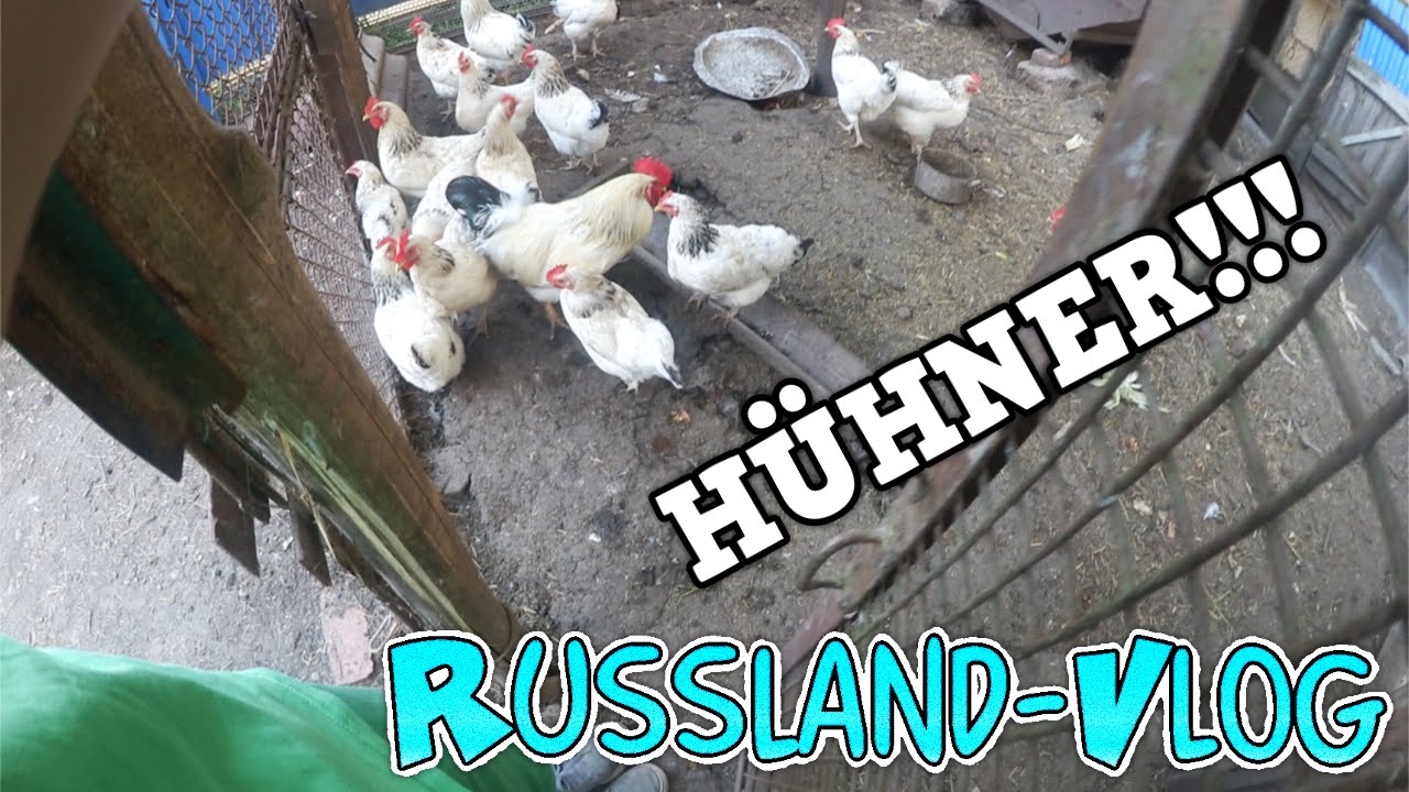 BAUERNHOF-TOUR!?! - Russland-Vlog 
