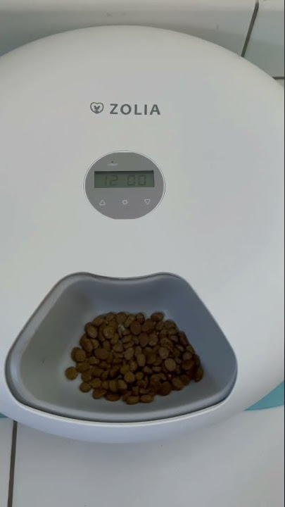 Distributeur programmable de croquettes - 6 L - Zolia ZD 120 pour chiens et  chats