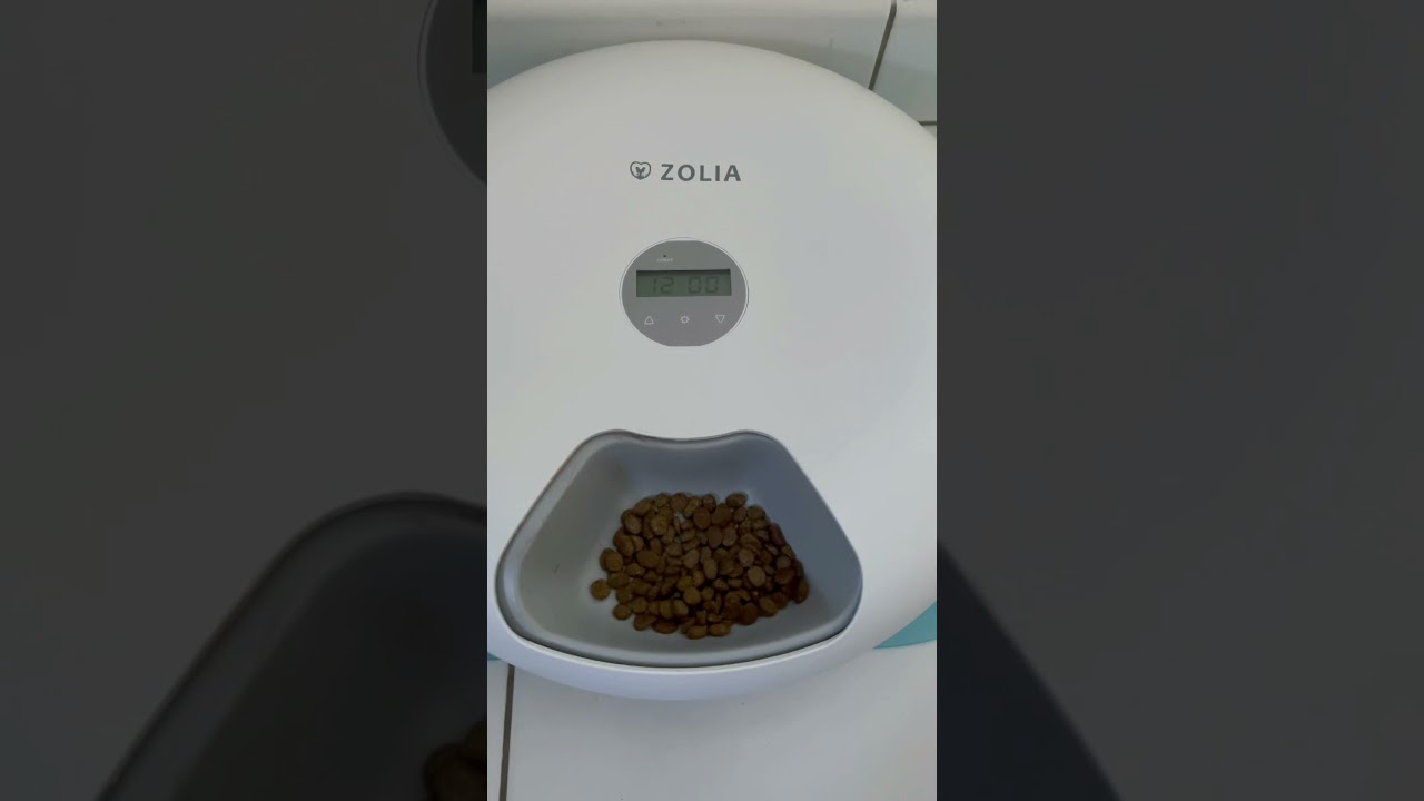 Distributeur Automatique de croquettes - 6 L - Zolia ZD 150 pour chats et  chiens