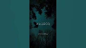❤️ إن شر الدواب عند الله الصم البكم # تلاوة جميلة بصوت ماهر المعيقلي ارح سمعك #9