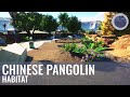 Chinese Pangolin Habitat | Malu Zoo | Speed Build | Planet Zoo | Ep. 3