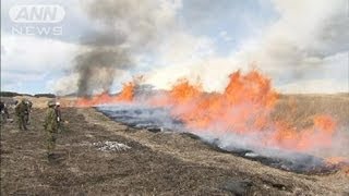 死亡事故から2年ぶり　東富士演習場野焼き再開（12/03/25）