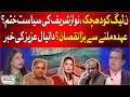 Nawaz Sharif Politics Over? | Big Blow To PMLN? | Daniyal Aziz Shocking Statement | Breaking News