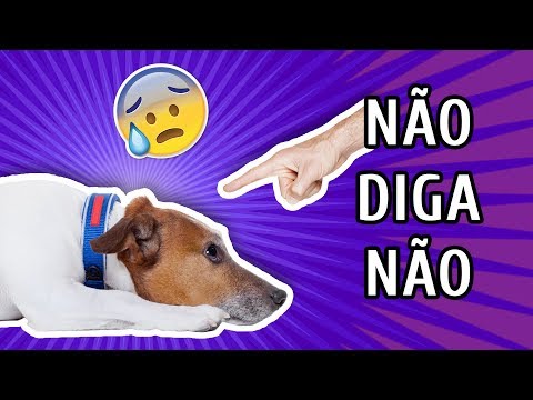 Vídeo: Por que meu cachorro sempre escolhe brigas com cachorros maiores?