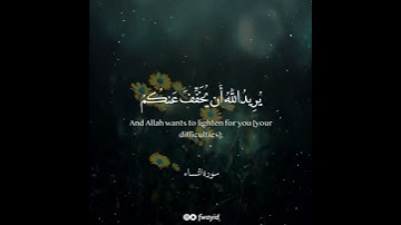 تلاوة تريح القلب 😪 بصوت أحمد النفيس || حالات وتس اب🖤
