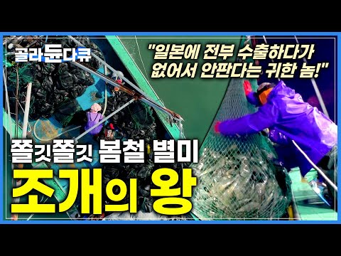 5시간 <strong>만에</strong> 만선! 지금이 제철 조개의 <strong>왕</strong> 키조개 | 어두운 바닷 속 위험천만 키조개 잡이 | 극한직업 | #골라듄다큐