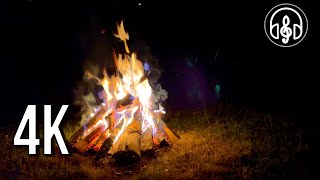 Sounds of an evening campfire with the singing of forest birds for relaxation and sleep