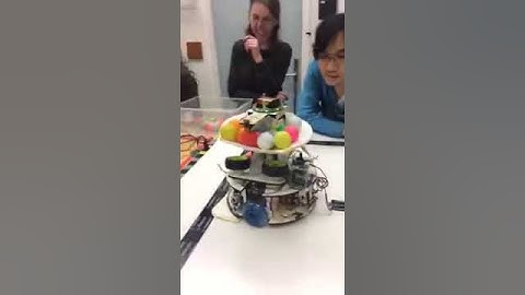 CMPE 118 UCSC Final Checkoff