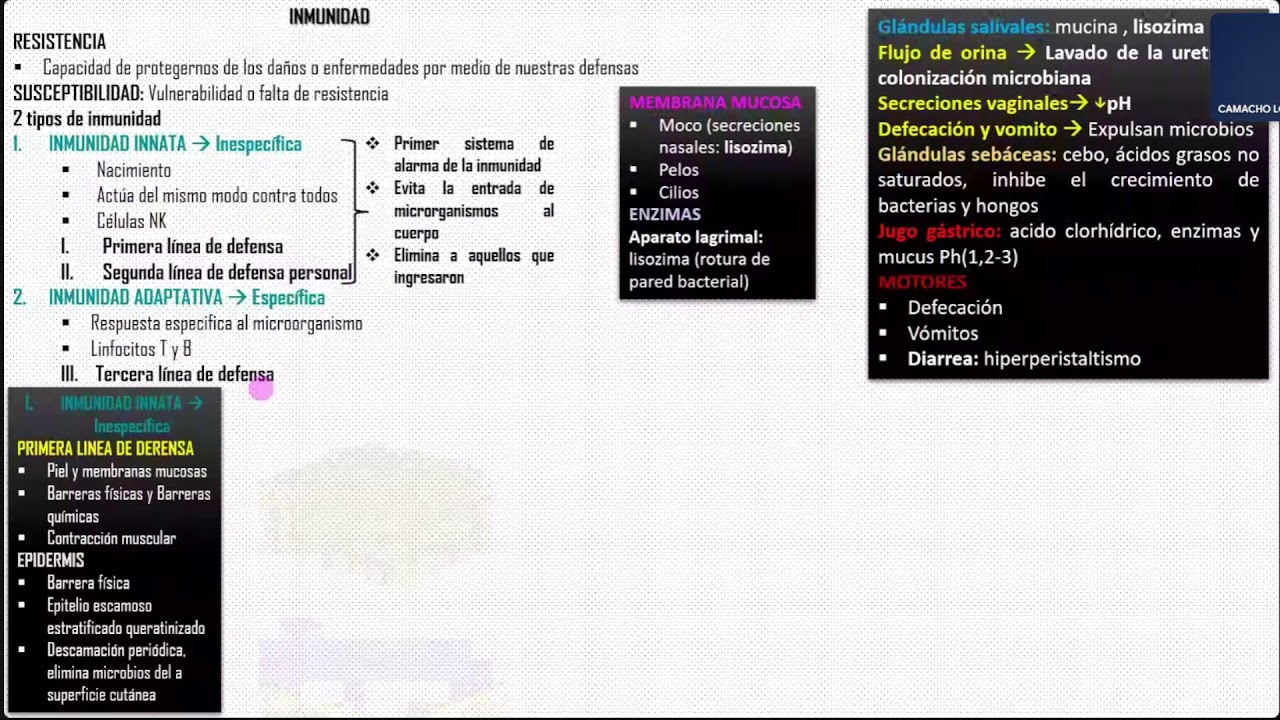 Sistema Linfático e Inmunitario