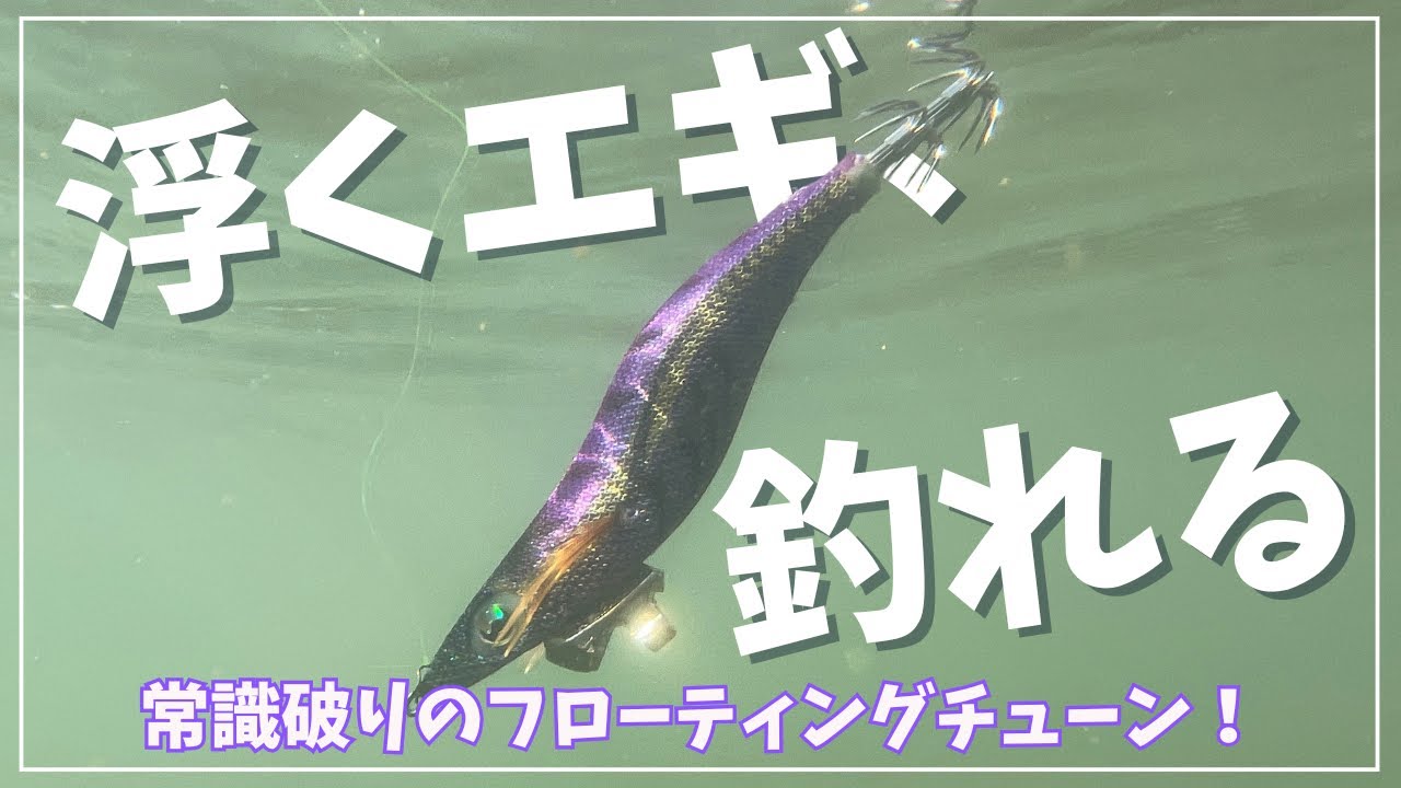 「エギってさ、フォールさせる意味あんの？」浮くエギでアオリイカ狙ってみた！
