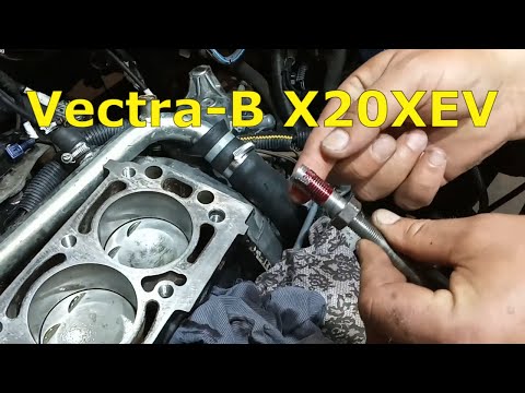 Vectra-B X20XEV. Studs