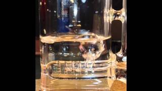 Sovereignty Glass V6 Stemline