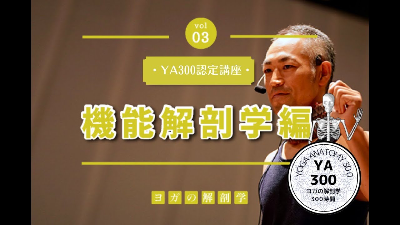 機能解剖学編【YA300】 | ヨガの解剖学.com