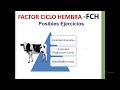 FACTOR CICLO HEMBRA -FCH