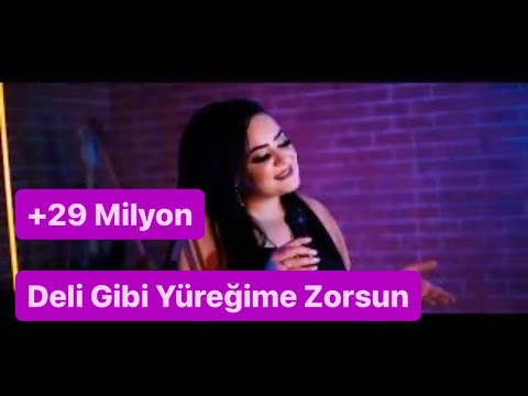 Havva Öğüt - Deli Gibi Yüreğime Zorsun