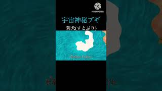 アニメ妖怪学園YとNの遭遇個人的神曲TOP5