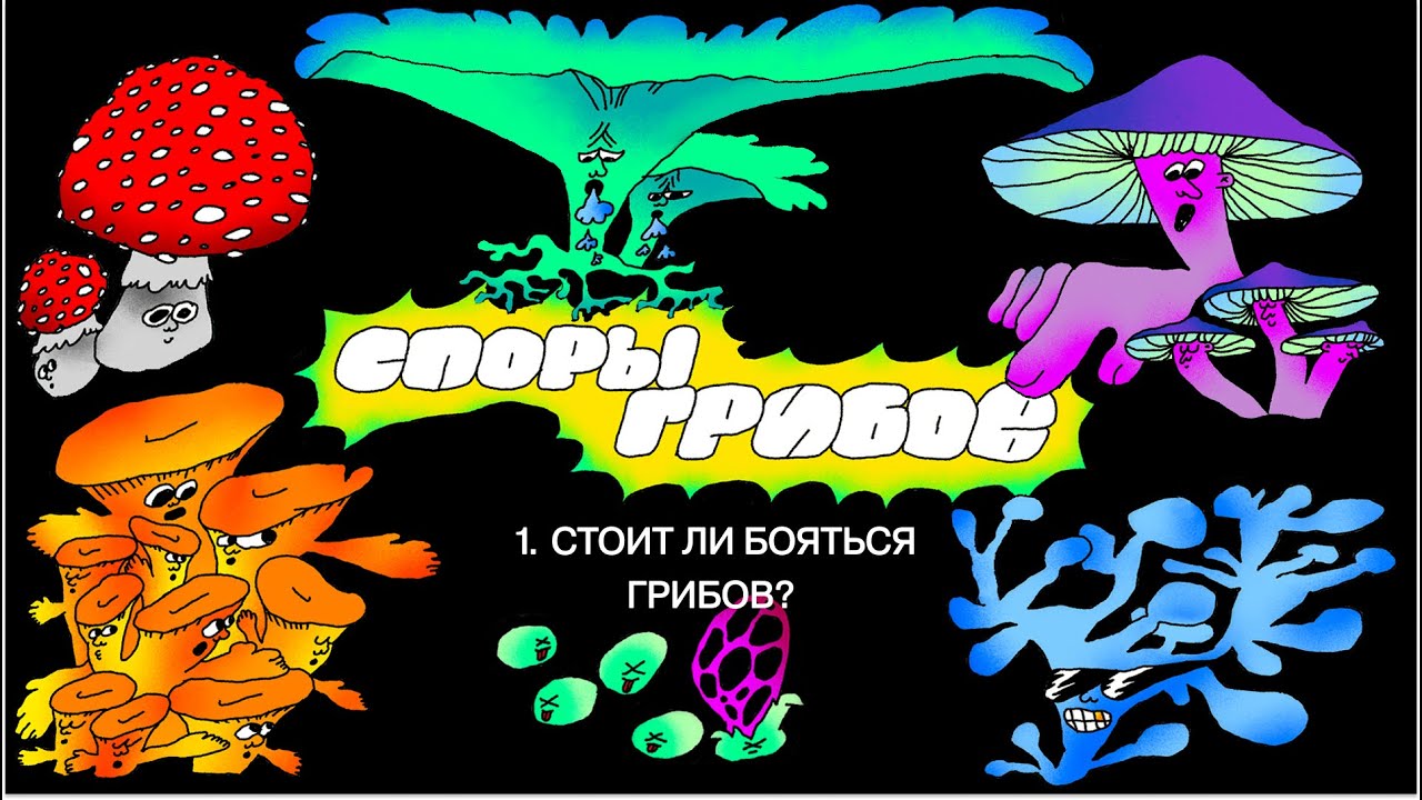 1. Стоит ли бояться грибов? - YouTube
