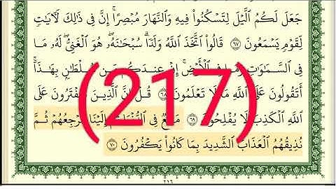 سورة يونس رقم الصفحة 217 مجود بصوت القارئ الشيخ أيمن سويد حفظه الله