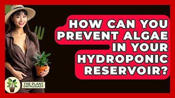 How Can You Prevent Algae In Your Hydroponic Reservoir? - The Plant Enthusiast