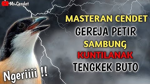 MASTERAN CENDET TEMBAKAN || GEREJA PETIR SAMBUNG KUNTILANAK, TENGKEK BUTO !!
