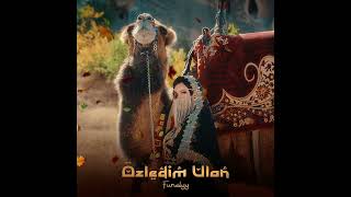 Fundyy - Özledim Ulan [ Slowed & Reverb ] - ( Prod. By Çakır Music Production ) @FundyyMusic