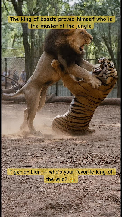 Lion vs Tiger – The Ultimate Battle for the Crown! 🔥