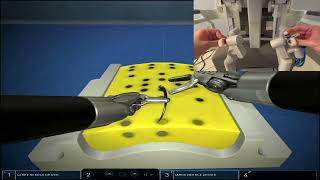 Big deeper needle driving: Robot100% DaVinci surgery series