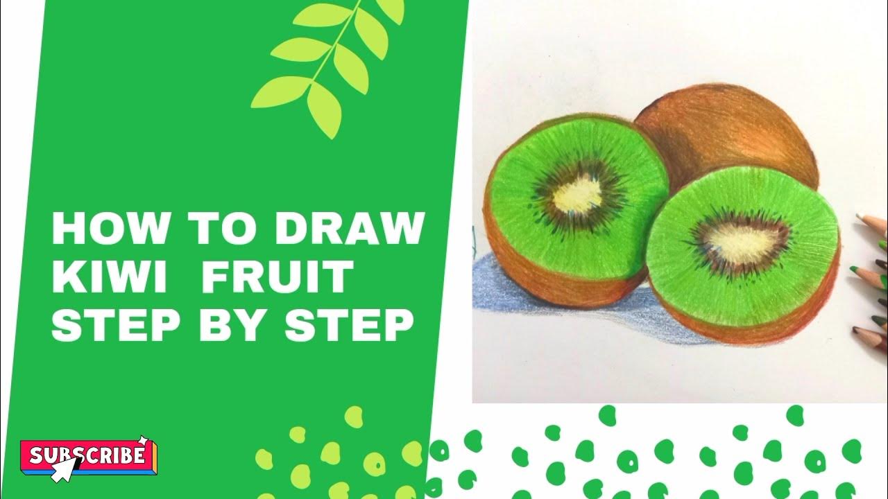 How to draw kiwi fruit step by step kiwi fruit draw realistic fruit
