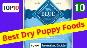 ¿Es Blue Buffalo bueno para los perros?