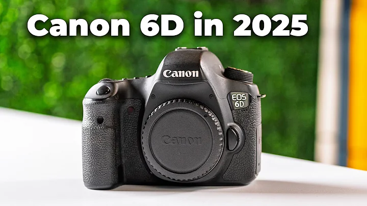Canon 6D in 2025 | The Perfect Camera Under $300?
