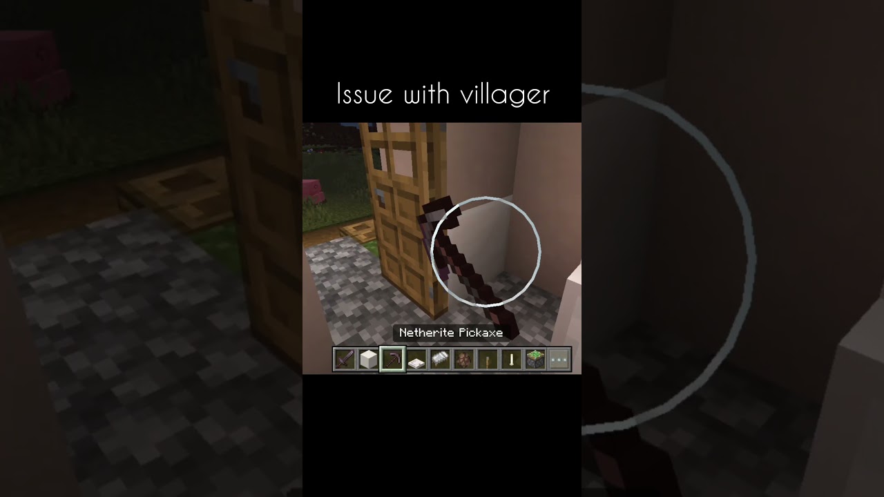 issue with villager. #minecraft #gaming