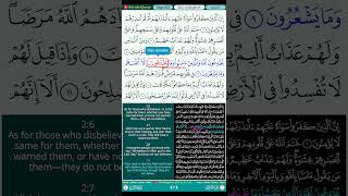 Quran Page 3 || Surah Al-Baqarah (6-11) || Murottal Termerdu dengan Tooltip & English Translation