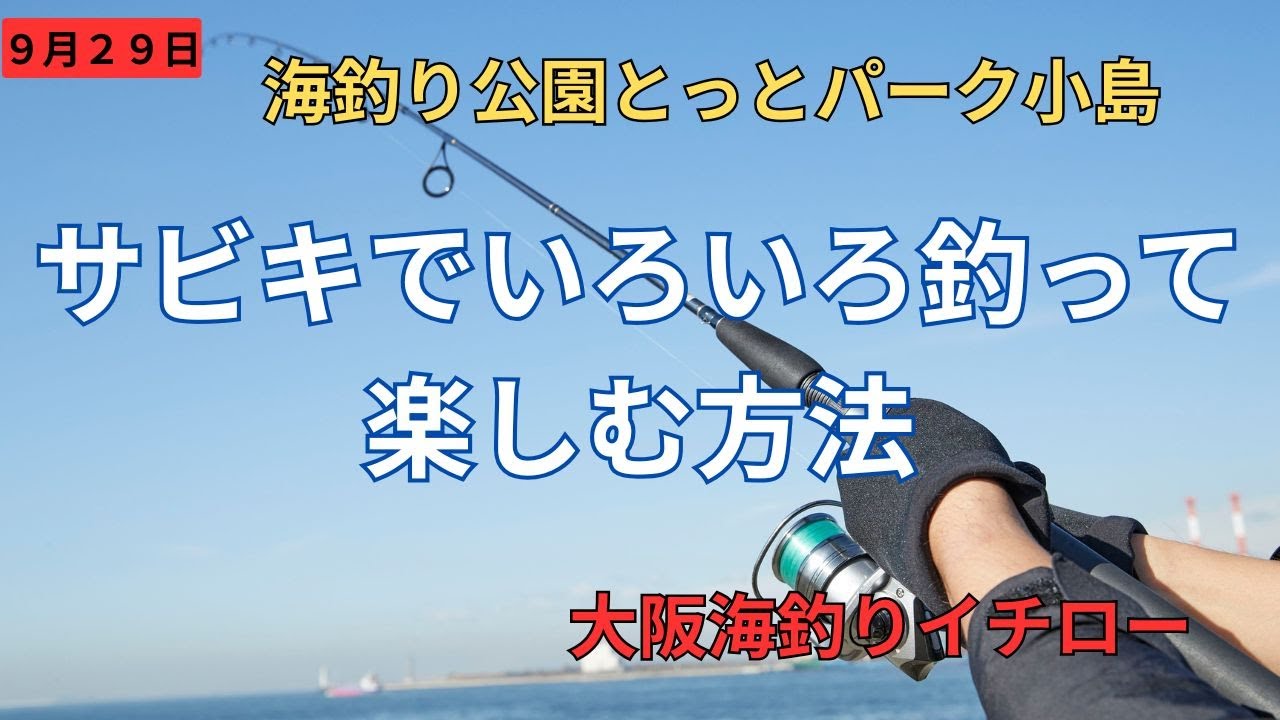 【訂正】ウスバハギ→ソウシハギ　です💦　サビキでいろいろ釣って楽しむ方法　海釣り公園とっとパーク小島　2025.9.29