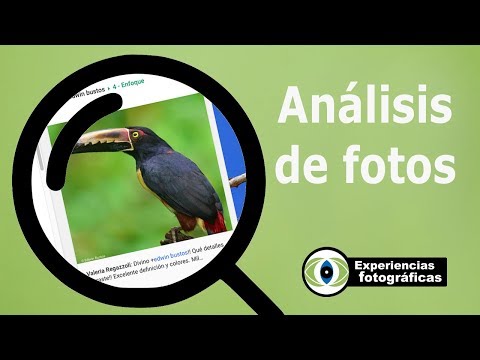 Habilidades Importantes Que Necesitan Los Fotógrafos Con Ejemplos