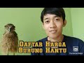 Jenis-Jenis Burung Hantu dan Harganya