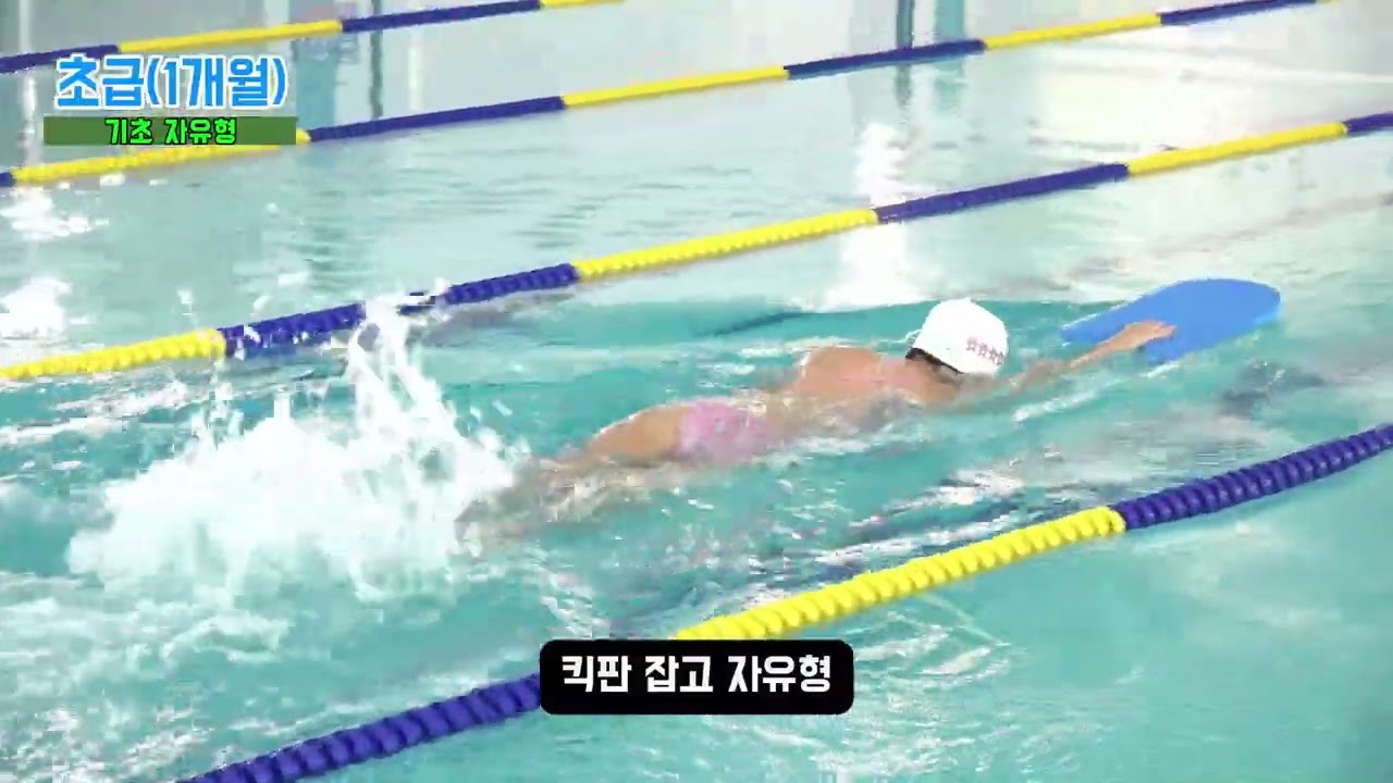 [청주시설공단] 수영 강습반별 강습 과정(1편)