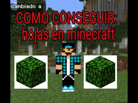Complete Minecraft Bush Masterclass: How to Harvest, Shape, and Decorate