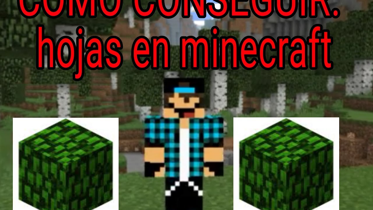 TUTORIAL COMO TENER HOJAS DEL ARBOL EN MINECRAFT . YouTube