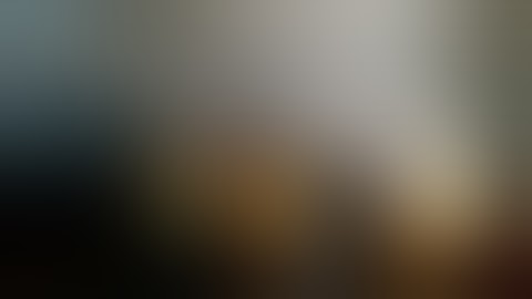 University program 2019