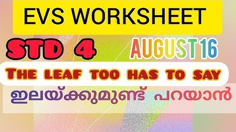 std 4 EVS WORKSHEET. The leaf too has to say.ഇലയ്ക്കുമുണ്ട് പറയാൻ
