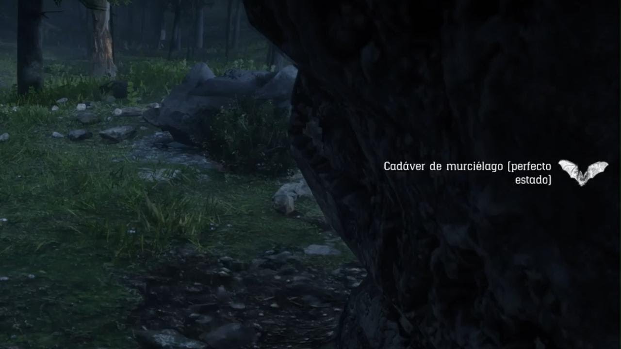 Ubicacion de caza MURCIELAGO en PERFECTO estado FACIL | Red Dead Redemption 2 | Im_pache
