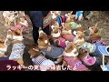 ラッキーの実家に帰省したよ