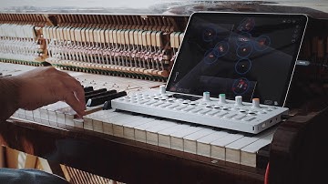 Borderlands Granular, Piano and Op1