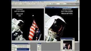 Афера навозной мухи - ФОТОГРАФИИ (максимум лжи и глупости) Афера навозной мухи - ФОТОГРАФИИ (максимум лжи и глупости)