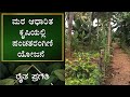 Natural farming  panchatarangini project in tree based agriculture  ep  33  natural farming  raitha pragathi