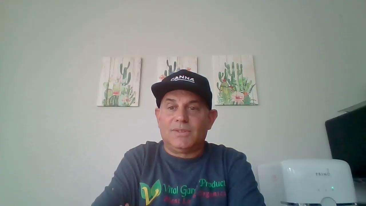 Doing a quick Live about overgrow.com - YouTube