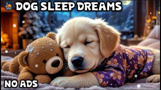3 Hours of Dog Relaxing Music 🐾 Soothing Sounds for Dog Anxiety 🎶Deep Sleep 😴 Dog TV No Ads