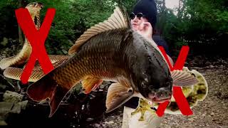 Keeping up with Matthew (episode 4) "survival"